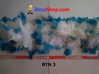 BTN 3  large2
